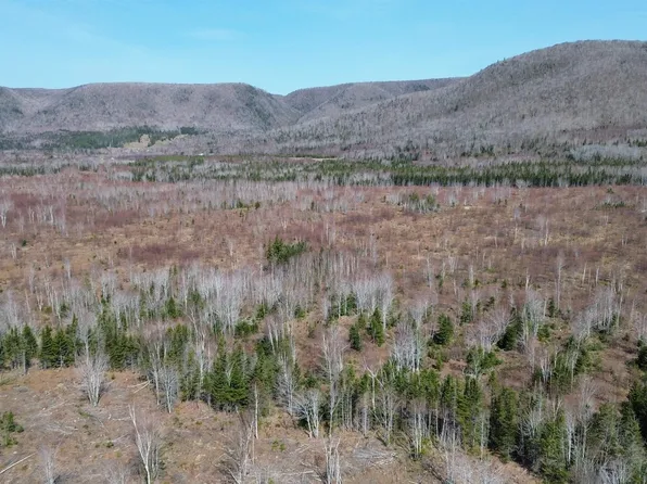 2025 E Big Intervale Rd #2, Rivulet, NS B0E 2C0
