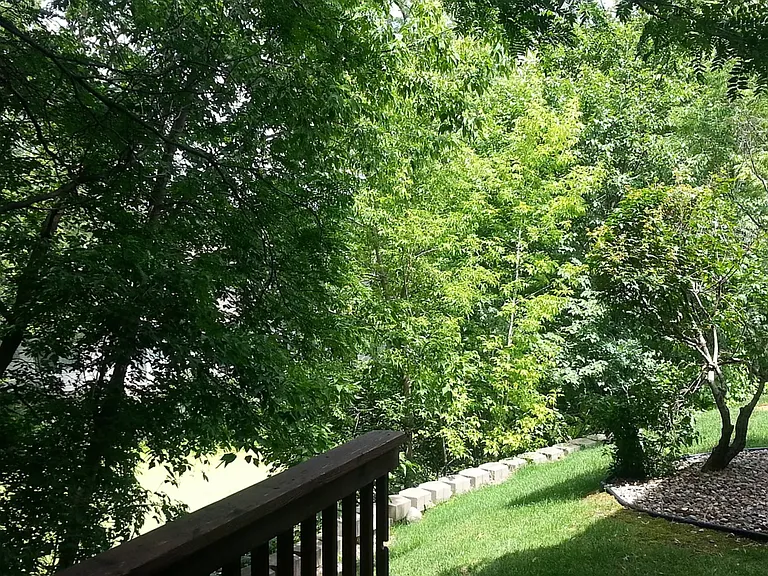 88XX Spring Ln — Photo 2