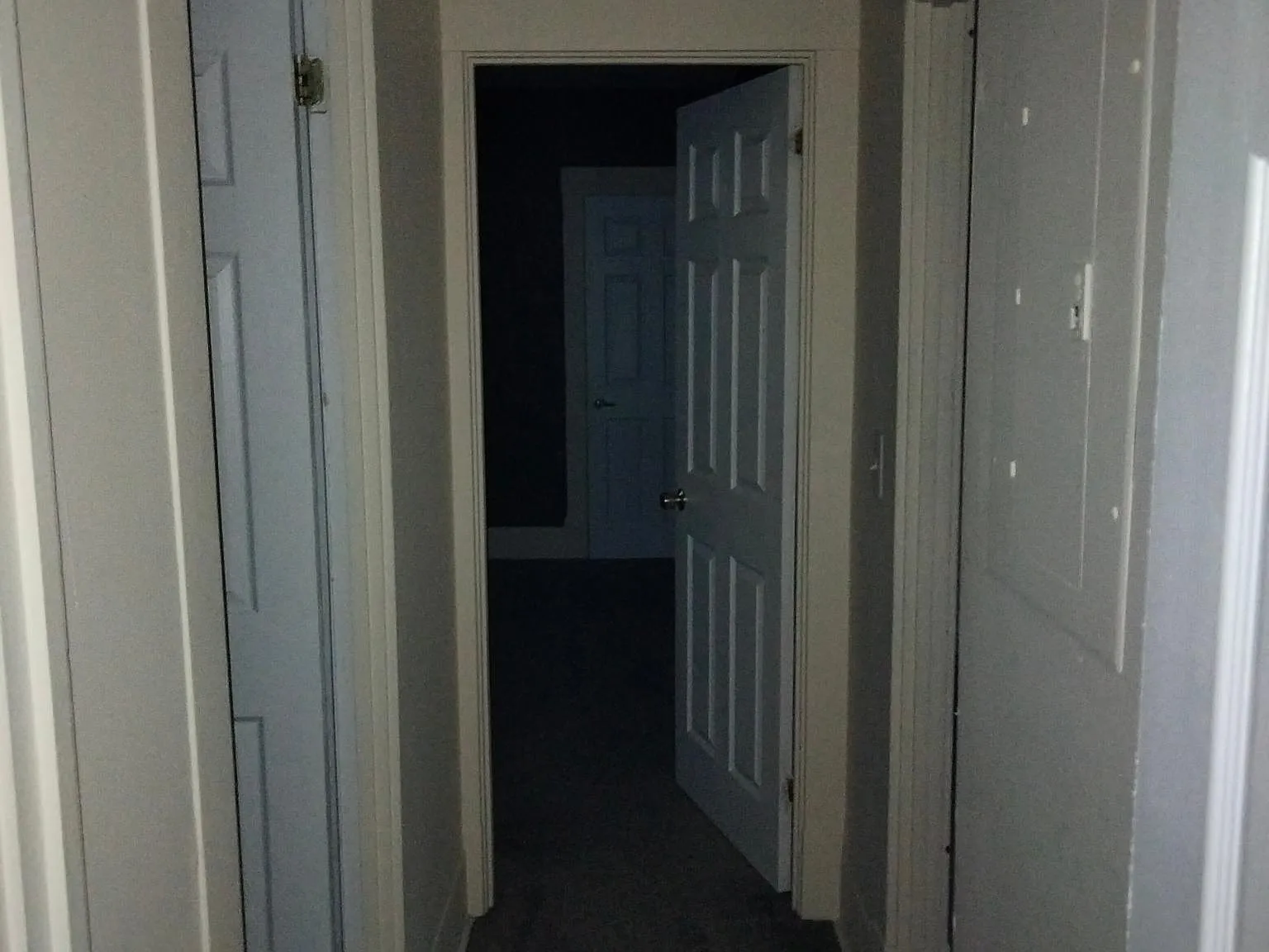 2 bed, 800 sqft, $1,250 — Photo 4