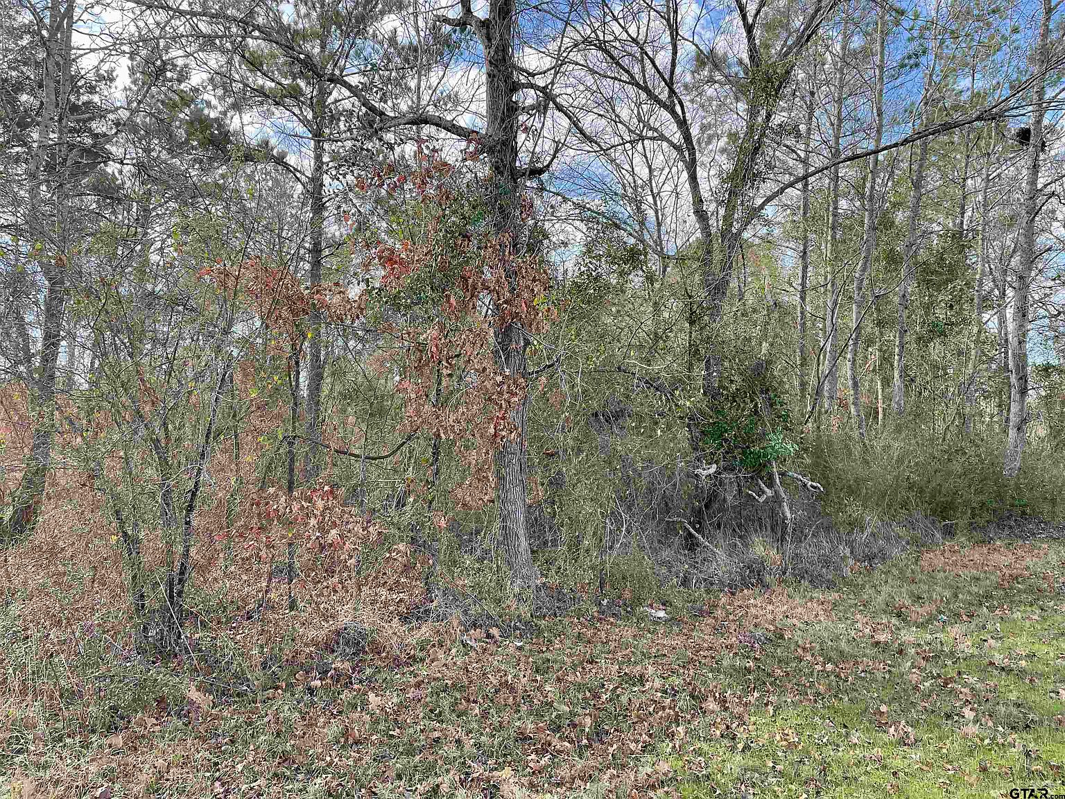 Highway 84 West Trl 2, Reklaw, TX 75784 MLS 23000087 Zillow