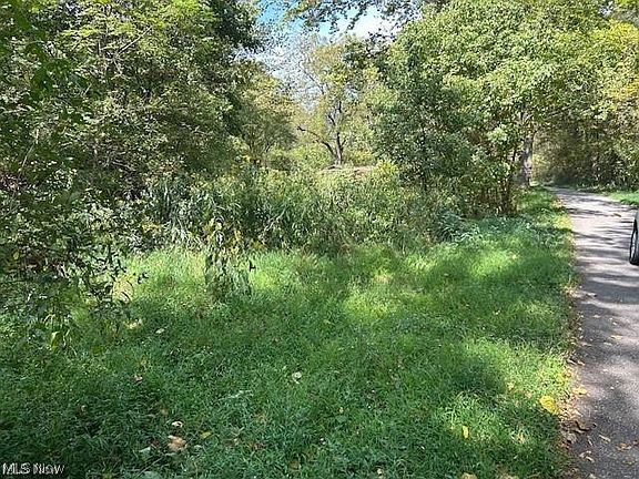 2nd image of 1205 Horse Lick Rd