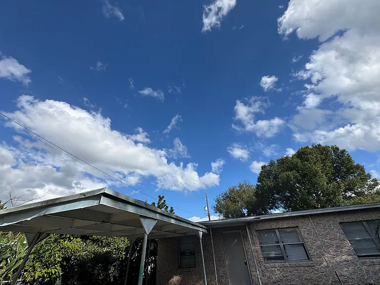 1209 Carlsbad Pl — Photo 48