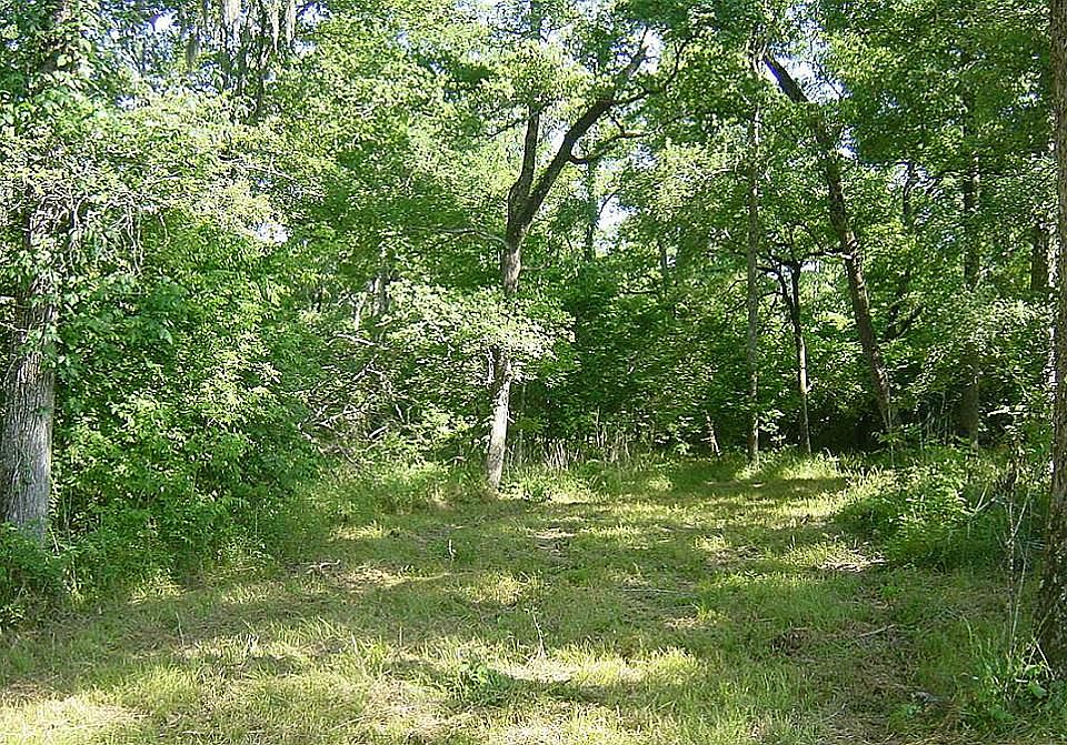 1st image of 1195 County Road 165 Dr