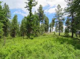 Tbd W. Curlew Lake Rd., Republic, WA 99166