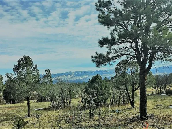 TBD S Badger Trail, Ridgway, CO 81432