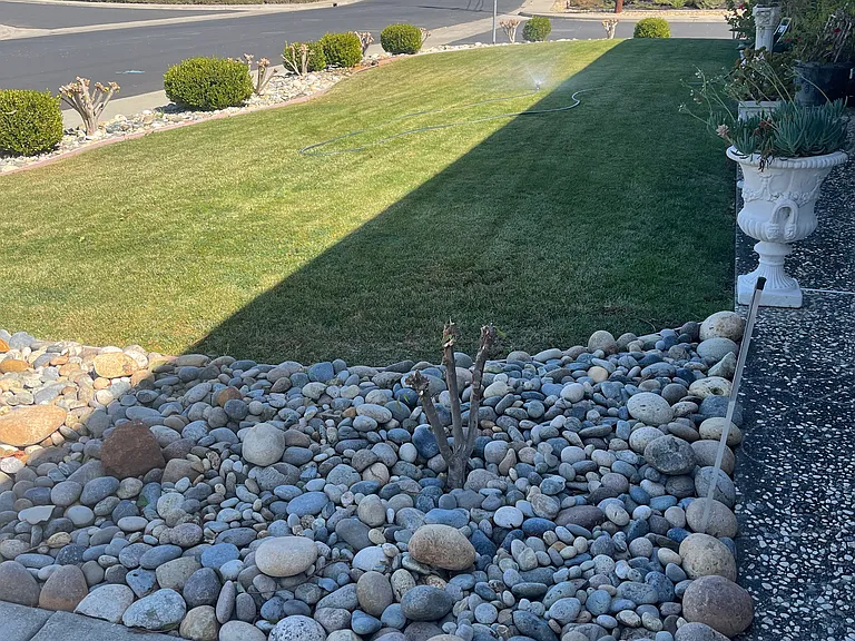 Rockne Dr — Photo 11