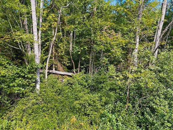 5th image of Right Of Way Rd