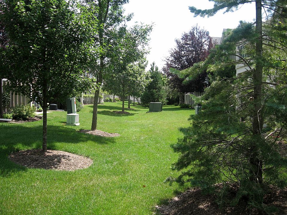 Backyard Common Area
