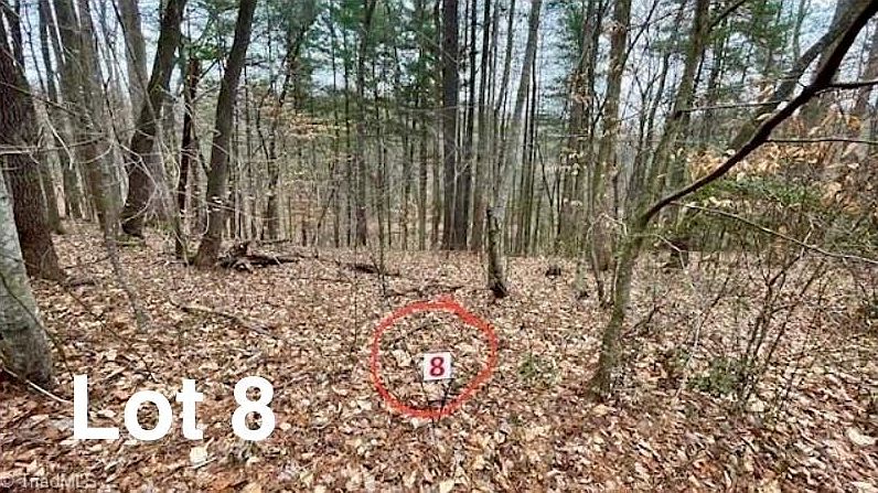 1st image of 8 Woods Haven Ln