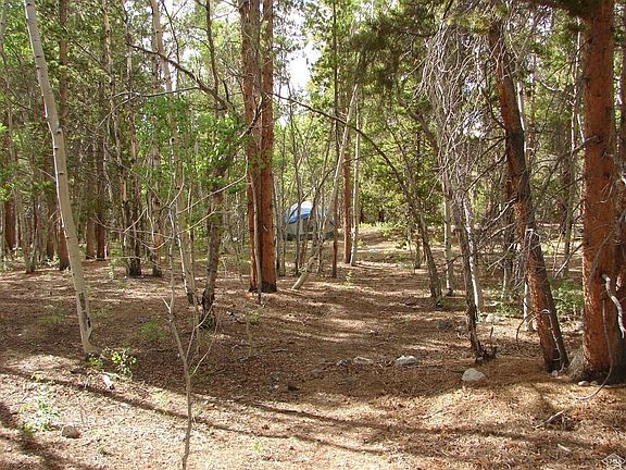 Property shown here - wooded feel, but not too dense