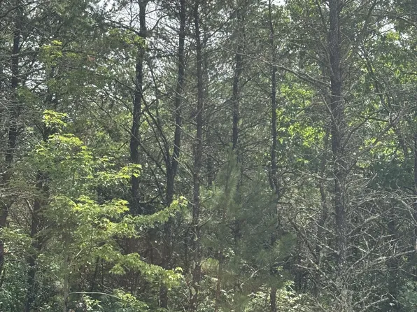 Near Cth Y S Rns Lot 5, Tomahawk, WI 54487