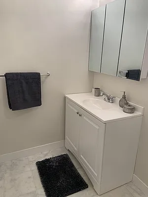 Rented by Native New York Real Estate Inc | media 18