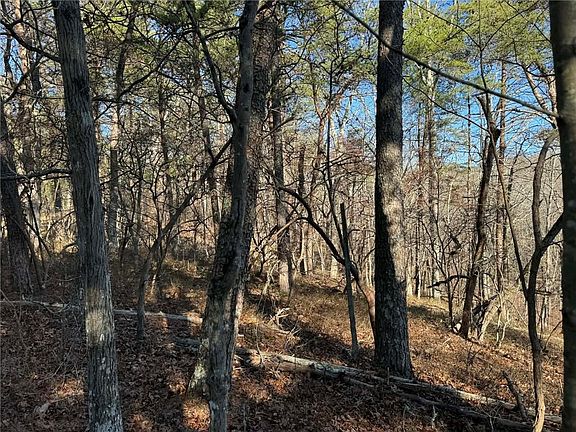 4th image of 1493 Derby Ct NE Lot 1493