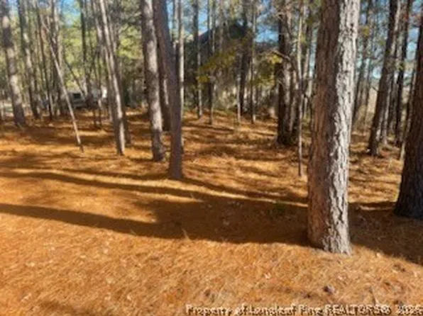 847 Seagull Dr, Vass, NC 28394