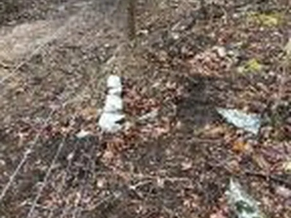 0 Log Cabin Ln, Johnson City, TN 37615
