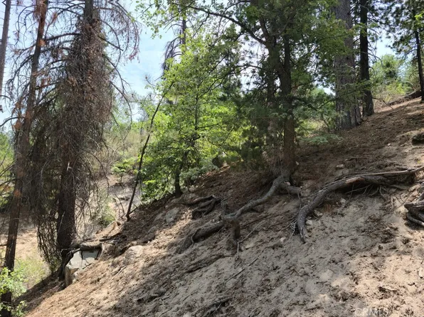 0 Dogwood Dr #154, Cedar Glen, CA 92321