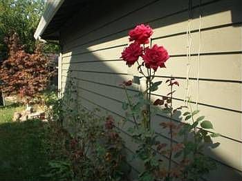 4th image of 31704 125th Pl SE