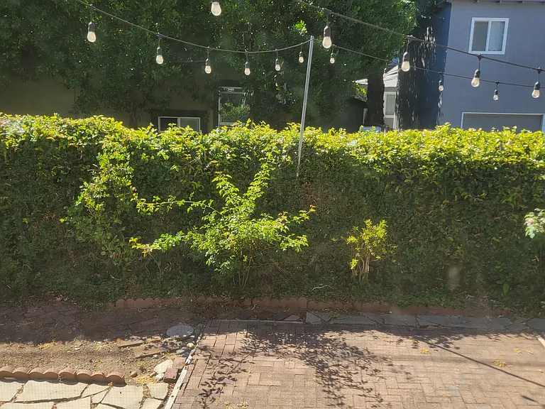 720 Olive St — Photo 19