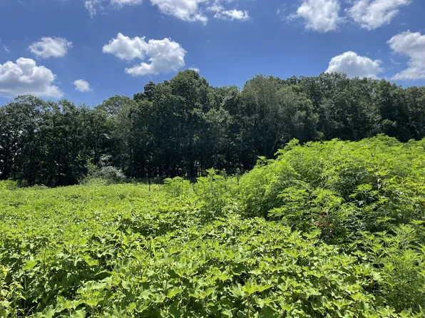 0 Hidden Hills Ln Lot 29A, Summertown, TN 38483