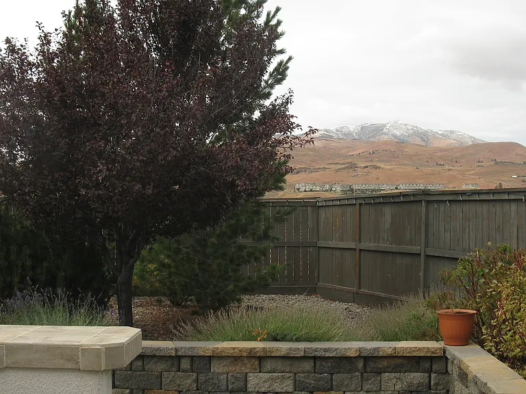 3595 Socrates Dr — Photo 21