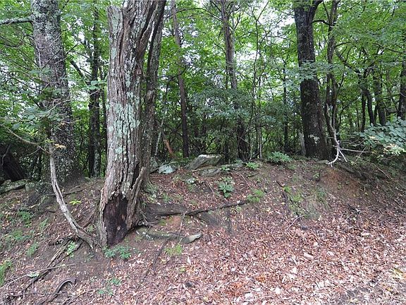 3rd image of 5134 Buckskull Ct Lot 5134