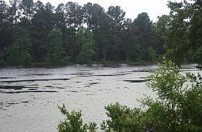 1st image of 1768 Deer Chase Ln