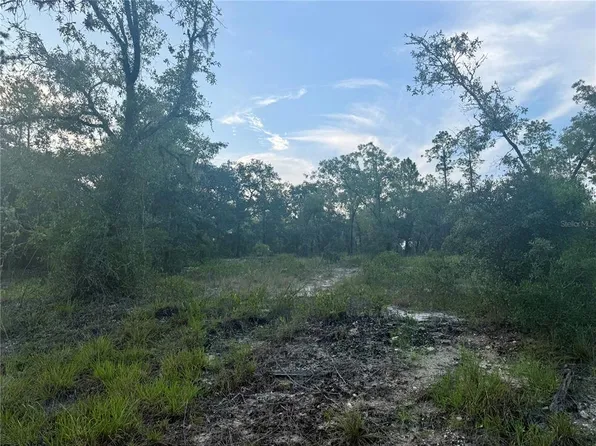 0 SW Barnacle Dr Lot 30, Dunnellon, FL 34431