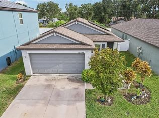 10248 Carloway Hills Dr, Wimauma, FL 33598