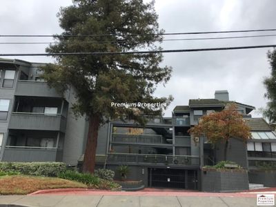 1692 San Miguel Dr, Walnut Creek, CA, 94596