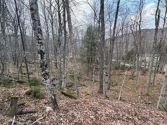 3rd image of Lot 8 Barrows Towne Road