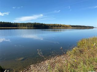 338 Johnson Ave, Big River, SK S0J0E0