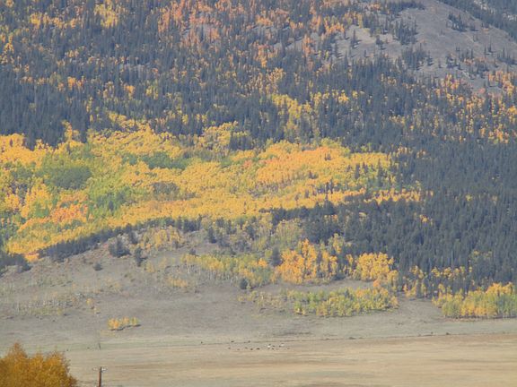 2nd image of Boreas Cir