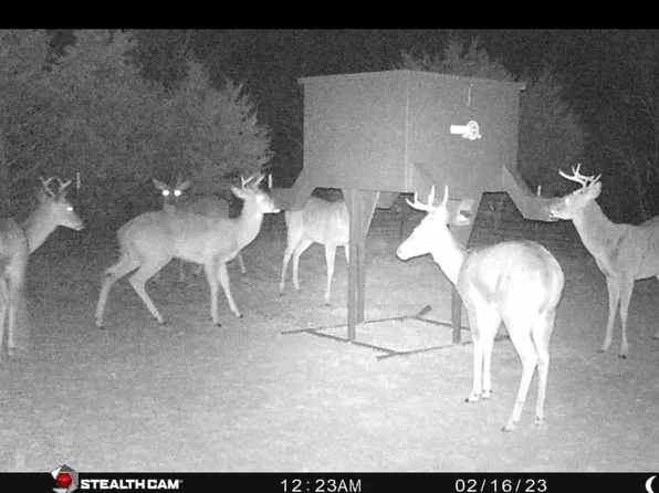 900 Fm 2461, Ranger, TX 76470