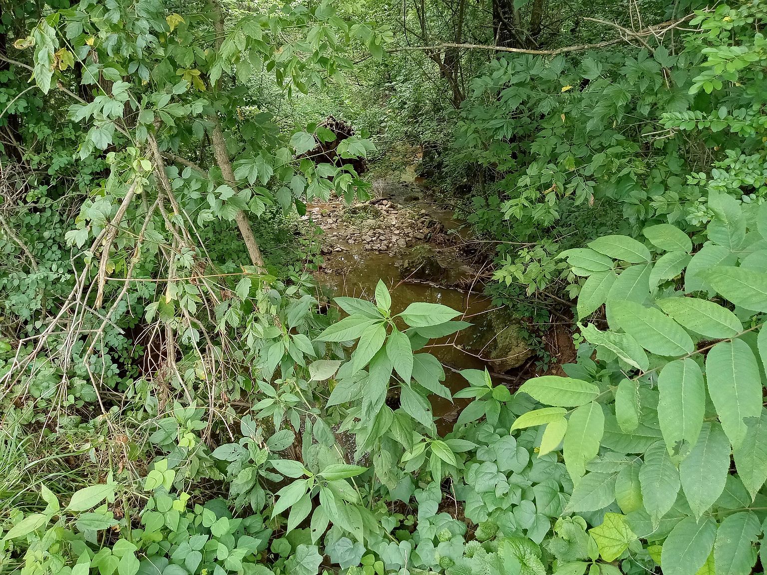 272 Seven Mile Ford Rd, Marion, VA 24354 MLS 9941079 Zillow