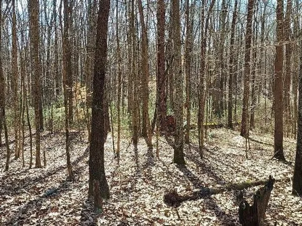 3195 Davis Academy Rd #1, Rutledge, GA 30663