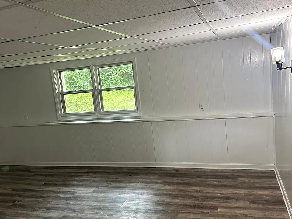Lower level family room