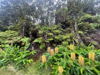 11-3825 Liona St, Volcano, HI, 96785