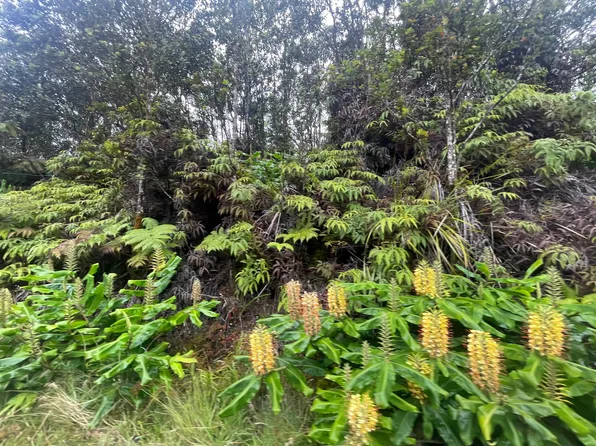 11-3825 Liona St Lot 53-B-127, Volcano, HI 96785