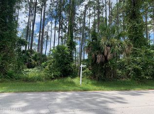 74 Rickenbacker Dr, Palm Coast, FL 32164