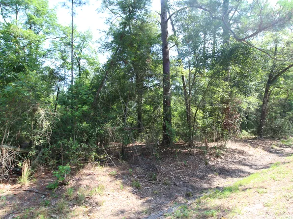 0 State Highway 119 N, Springfield, GA 31329