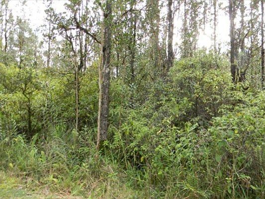 3rd image of Road 3 Hopue Lot 3067