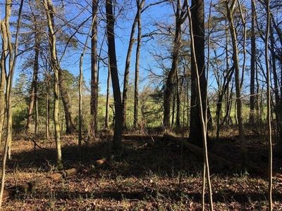 0 Goldmine Rd, Dawsonville, GA, 30534
