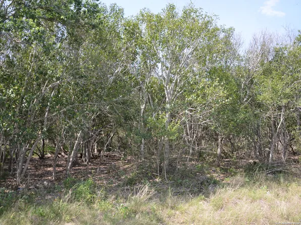 025 Wesp Way LOT 25, San Antonio, TX 78233