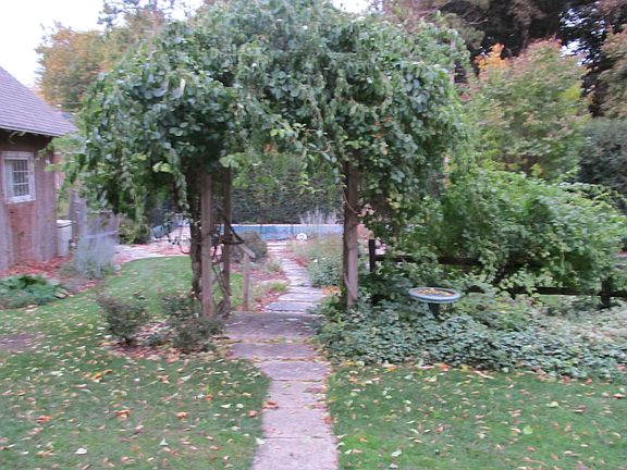 Landscaping
