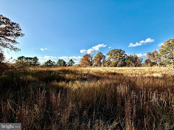 5th image of 6290 Cool Springs Farm Ct