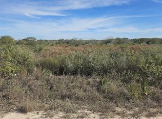 1431 County Rd Lot 20, San Diego, TX 78384