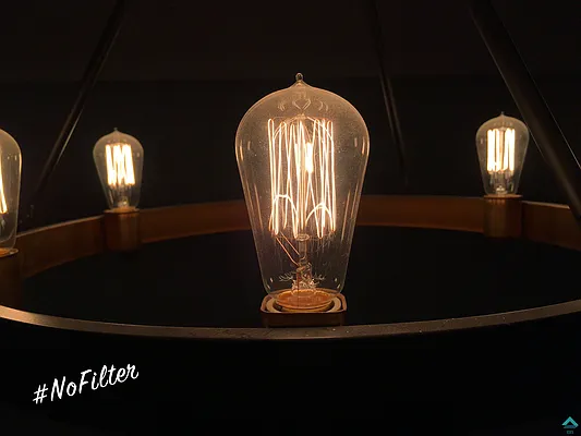 Rented by EXR | media 19