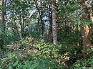 17 Western Ln, Oakville, WA 98568