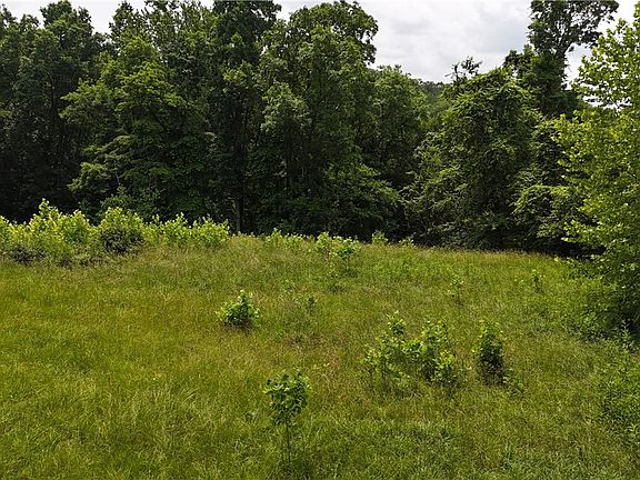 4th image of 10 Bella Vista Dr