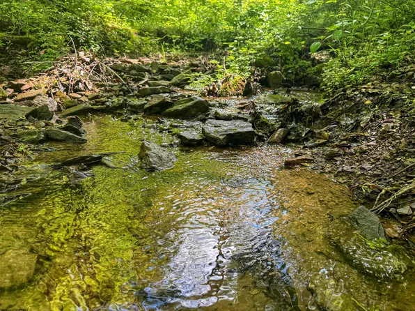 Rush Run Rd, Fairview, WV 26570